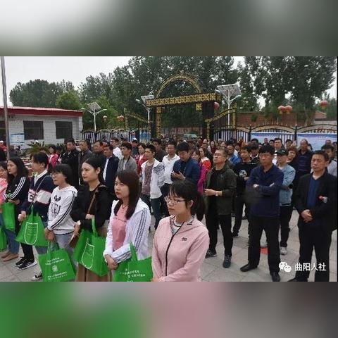 保定市的养老金上调多少