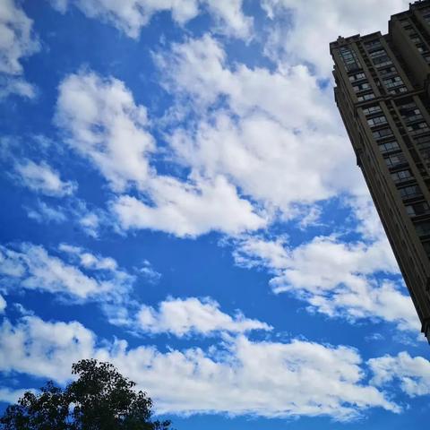 【合肥未来7天天气预报】合肥未来一周天气情况