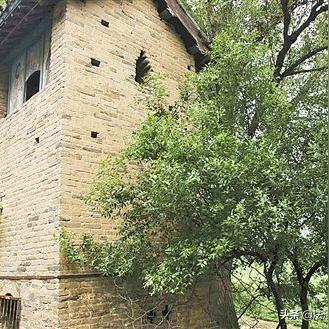 河南延津县属于哪个市？