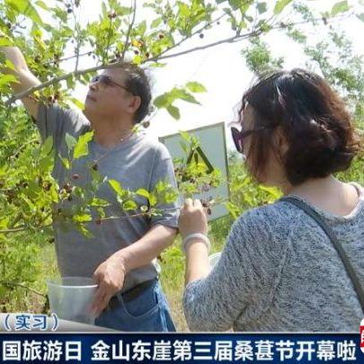 东北大连市有什么区县市