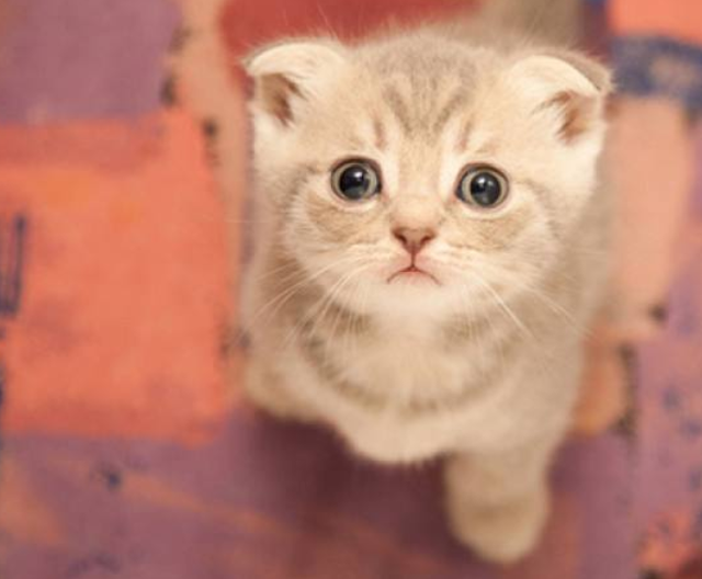 宝宝喜欢抓人是什么原因 宝宝喜欢抓人是什么原因