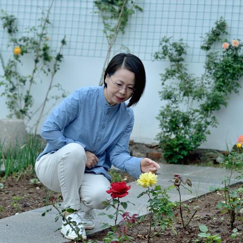 【天津桃园酒店有特服吗】长尾关键词有什么