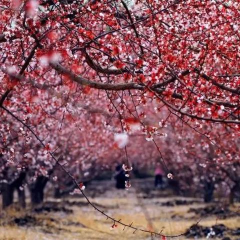 托克逊为什么气温高