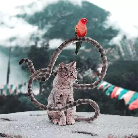 ps培训机构广州相关长尾关键词有哪些