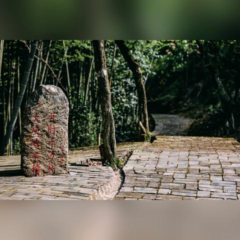 赣州市哪里适合看风景