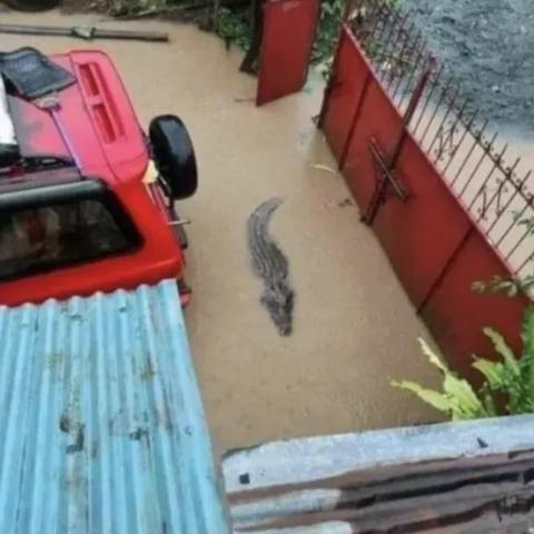 河南农村院子怎么样设计