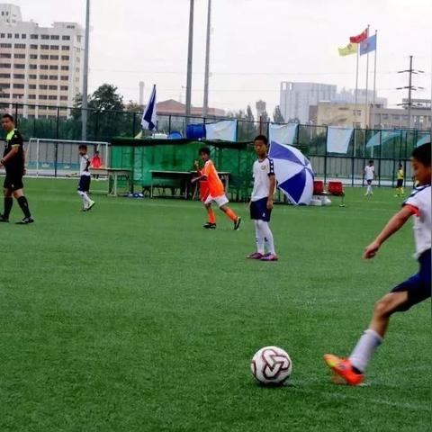 踢足球的感受怎么写