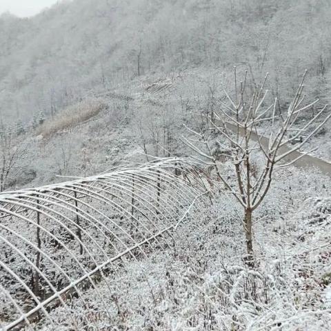 合肥后半夜相关长尾关键词有哪些