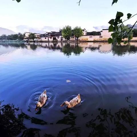 苏州市哪个镇上的工作最好找