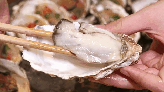 养什么美食么（养肉鸭有多大利润）