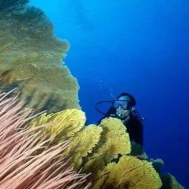 合肥中科院集体辞职原因相关长尾关键词有哪些