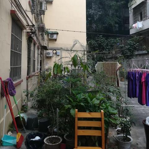 广州市有多少高中学位房