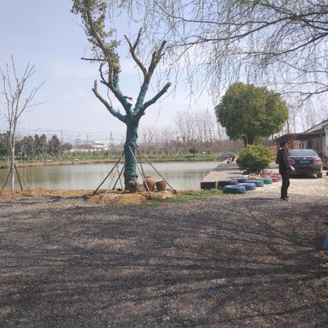 合肥市后天天气怎么样