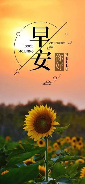 宝宝第一次会爬的说说