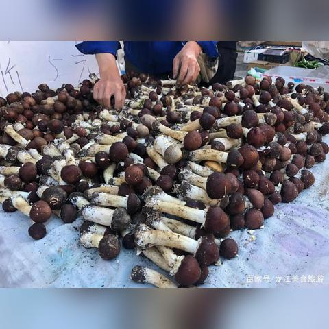 哈尔滨早市一般吃啥？