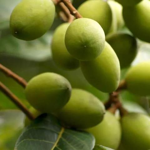 福建四大平原哪个发展潜力最好？