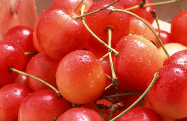 孕妇血糖高能吃樱桃吗