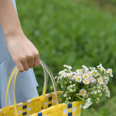 广州市什么时候降水最多