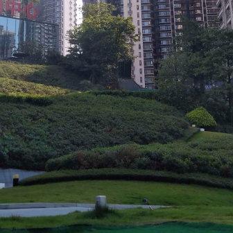 凤岭北学区划分？