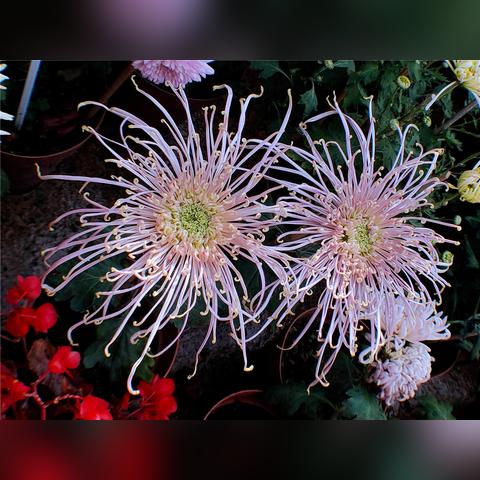 桂林市哪里可以学习摄影