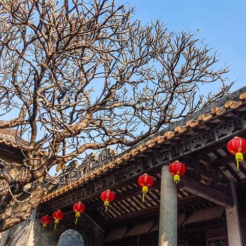 广东省佛山市青岛啤酒的长尾关键词有什么