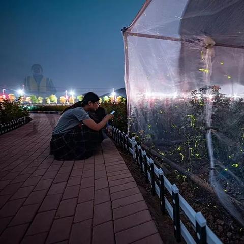 徐州三月底什么天气