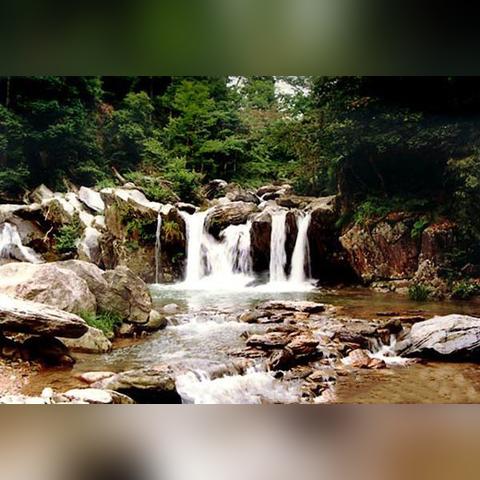 石家庄市哪里能买到特产