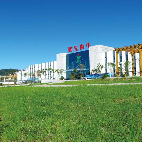 天津 隆 公司怎么样