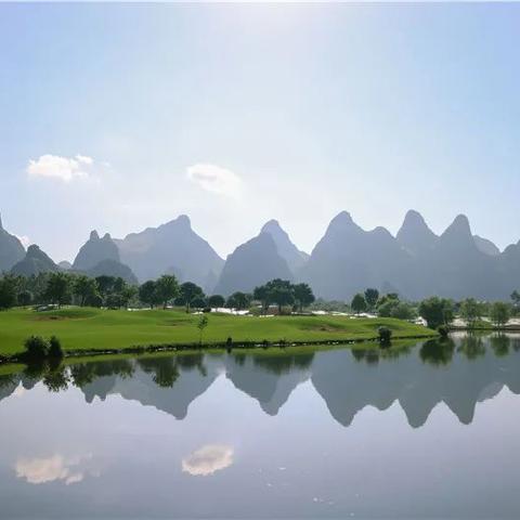 桂林市哪里卖板栗去皮机