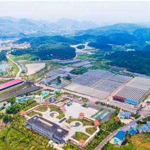 潍坊市寿光市就业补贴的长尾关键词有什么