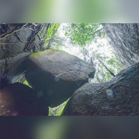 厦门市区哪里买海鲜便宜