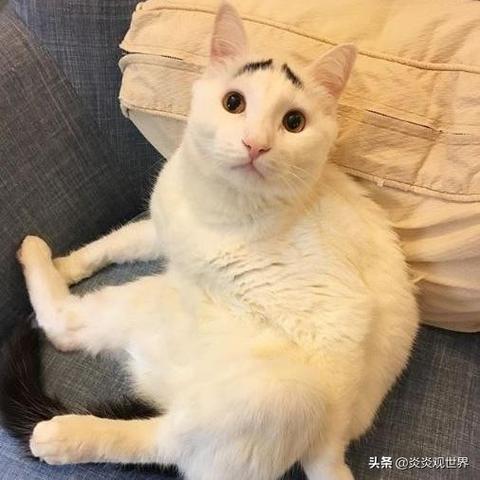 你的八字里，藏着多少人生玄机？