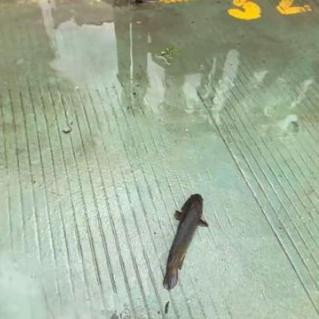 广州市什么地方有暴雨