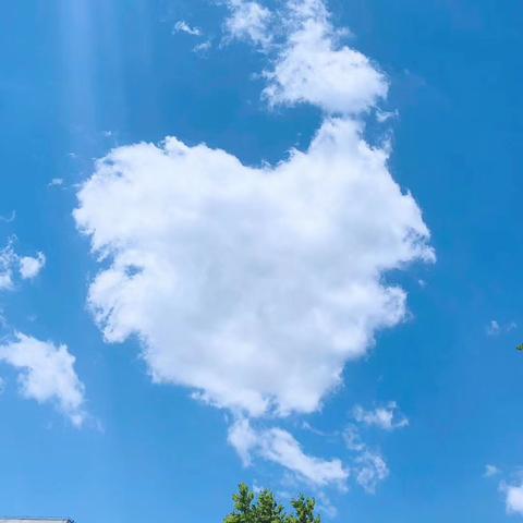 临沂市小美医生电话的长尾关键词有什么