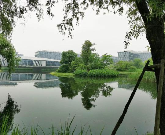 阿里巴巴西溪园区参观，探索阿里园区的秘密，预约参观阿里流程