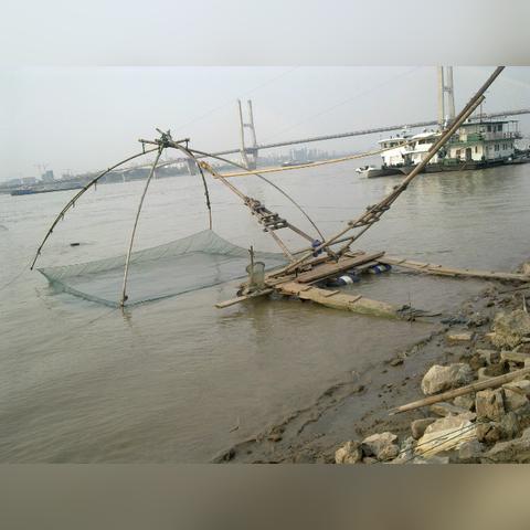 武汉最大的鱼网批发市场在那？