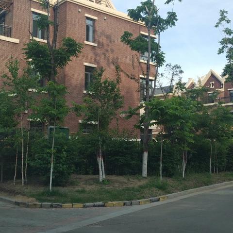 哈尔滨市哪里有私人别墅