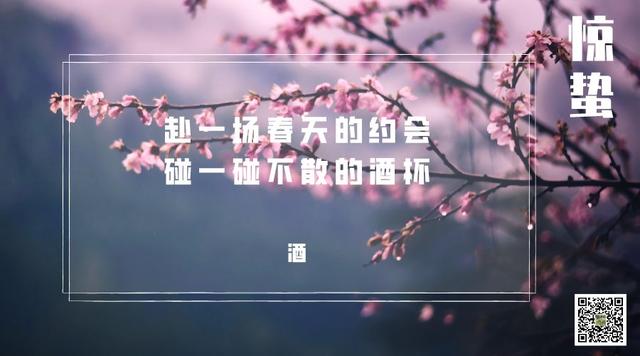 2019惊蛰文案海报合集