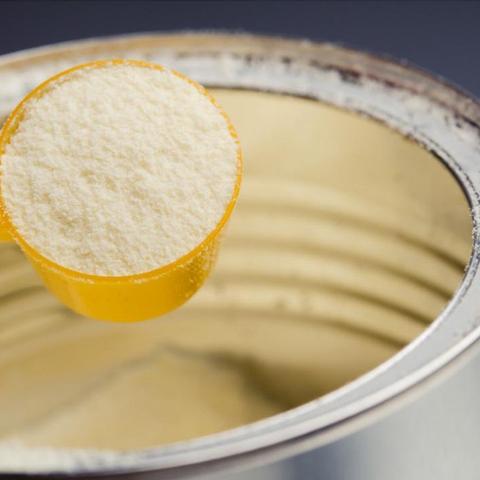 石家庄市哪里卖纯牛奶