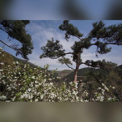济南市区到济南多少公里