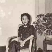 上海早年女星有哪些