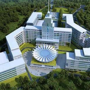 哈尔滨市和深圳市比较哪个面积大