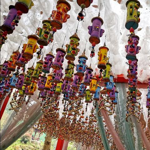 成都市区哪里能看牡丹