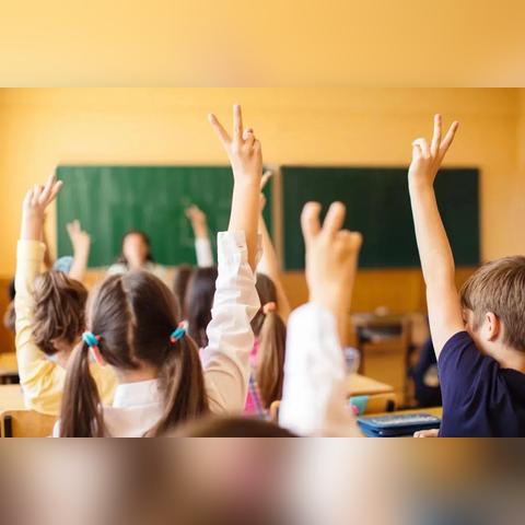 温州市小学怎么摇号入学