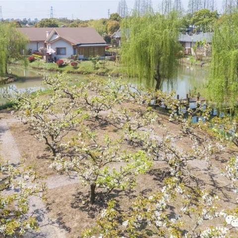 苏州市常熟市私家民宿的长尾关键词有什么