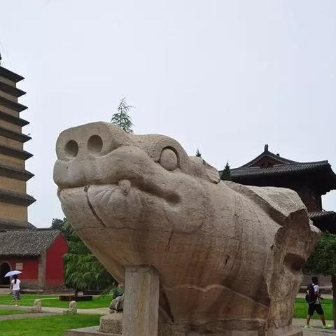 保定市流浪火锅地址在哪里
