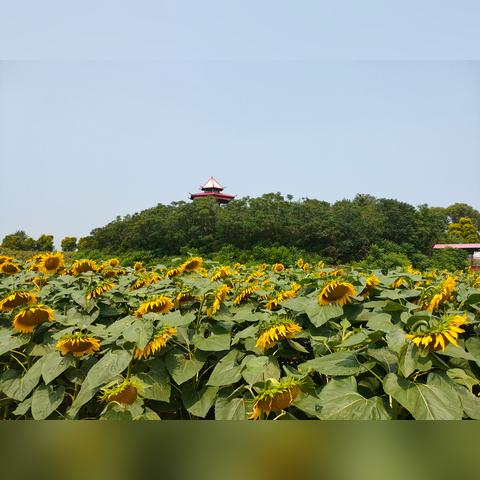 沈阳户外游玩群相关长尾关键词有哪些