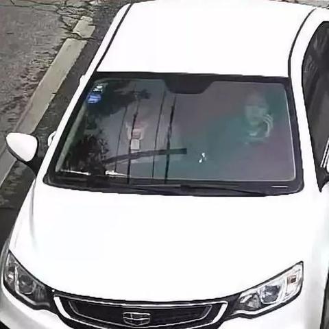 保定市防疫电话是多少