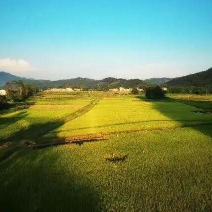 广东清远到桂林多远路程相关长尾关键词有哪些