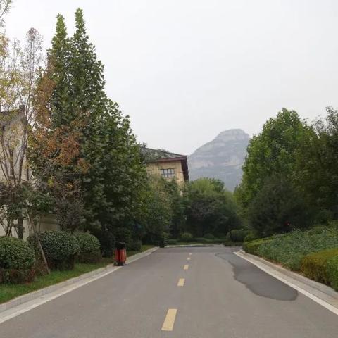 石家庄市有什么好的酒店